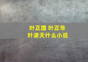 叶正国 叶正华 叶凌天什么小说